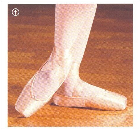 Pointe Capezio